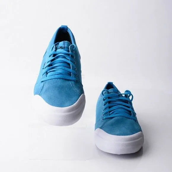 DC Youths Evan Boys Aqua Blue Leather Skateboard Shoes Sneakers Sz 7 Eu 39 Low