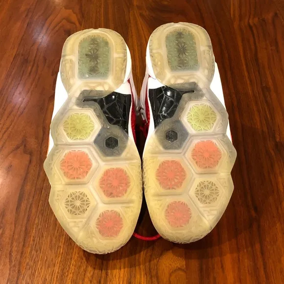 Nike LeBron 12 “Heart of A Lion” shoe