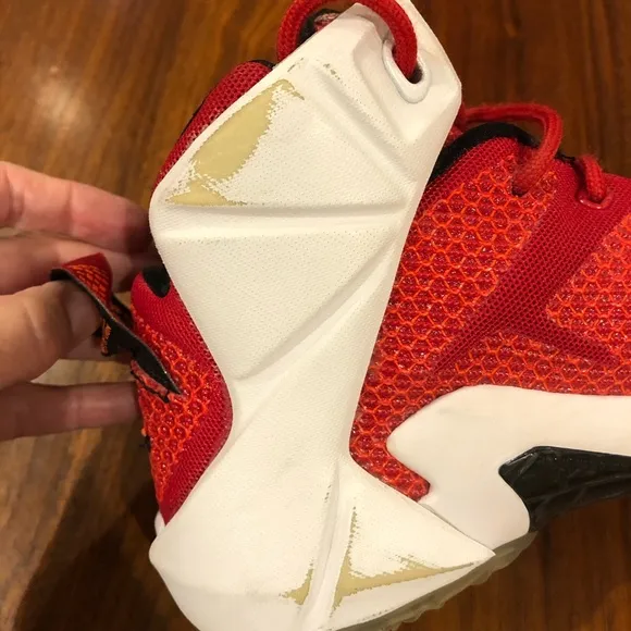 Nike LeBron 12 “Heart of A Lion” shoe
