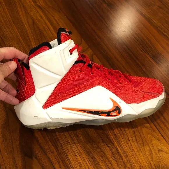 Nike LeBron 12 “Heart of A Lion” shoe