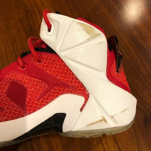 Nike LeBron 12 “Heart of A Lion” shoe