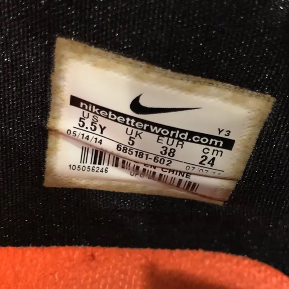 Nike LeBron 12 “Heart of A Lion” shoe