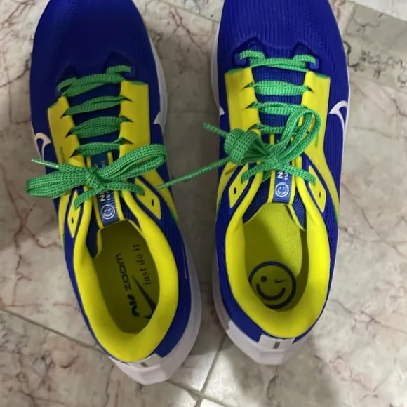 Nike Pegasus 40 Brazil CBF blue yellow fn0020-401