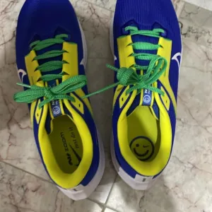 Nike Pegasus 40 Brazil CBF blue yellow fn0020-401